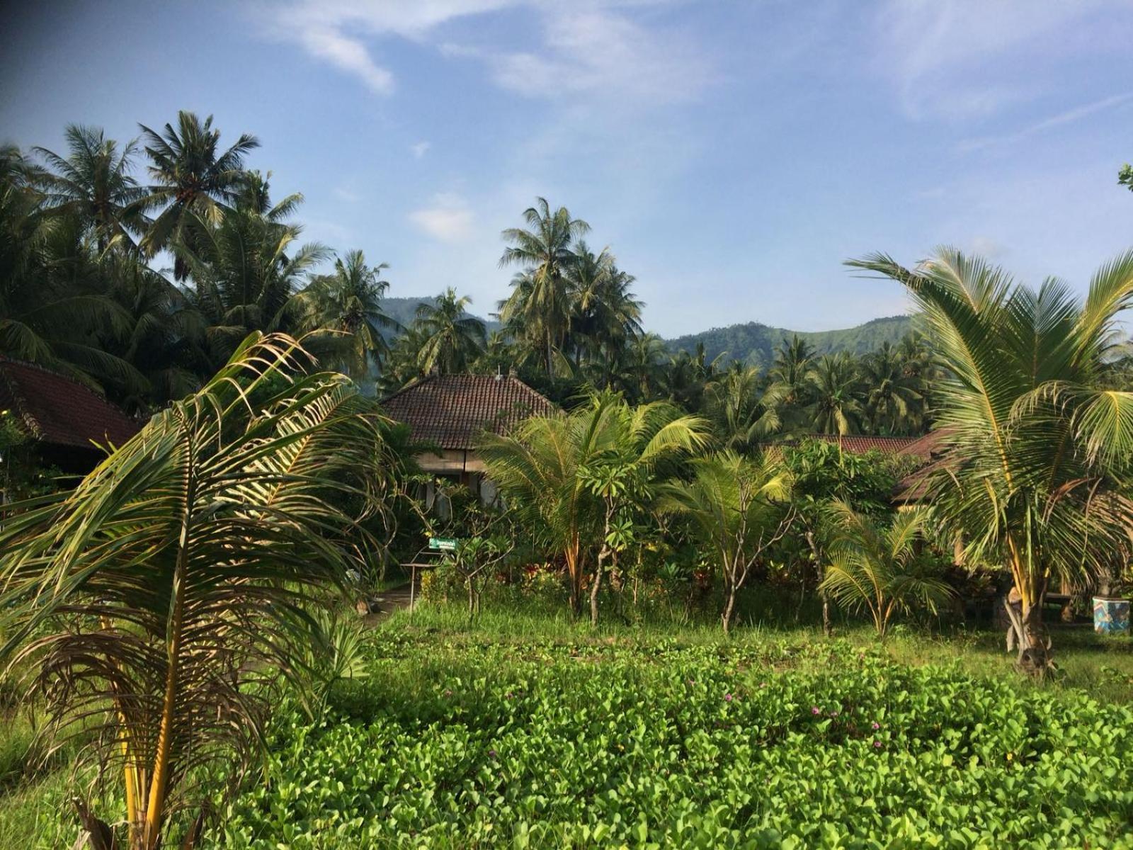 Bali Segara Lestari Oceanfront Villas 特贾库拉 外观 照片