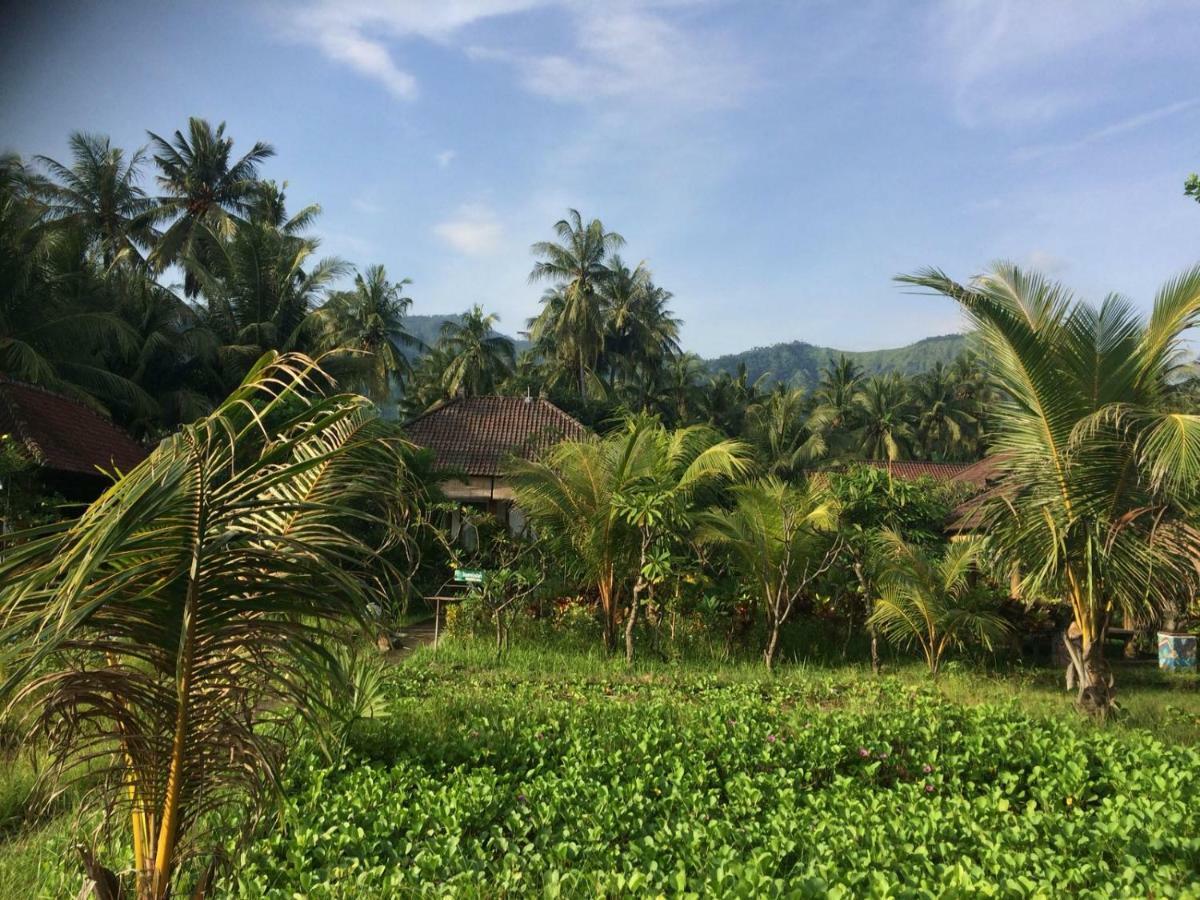 Bali Segara Lestari Oceanfront Villas 特贾库拉 外观 照片
